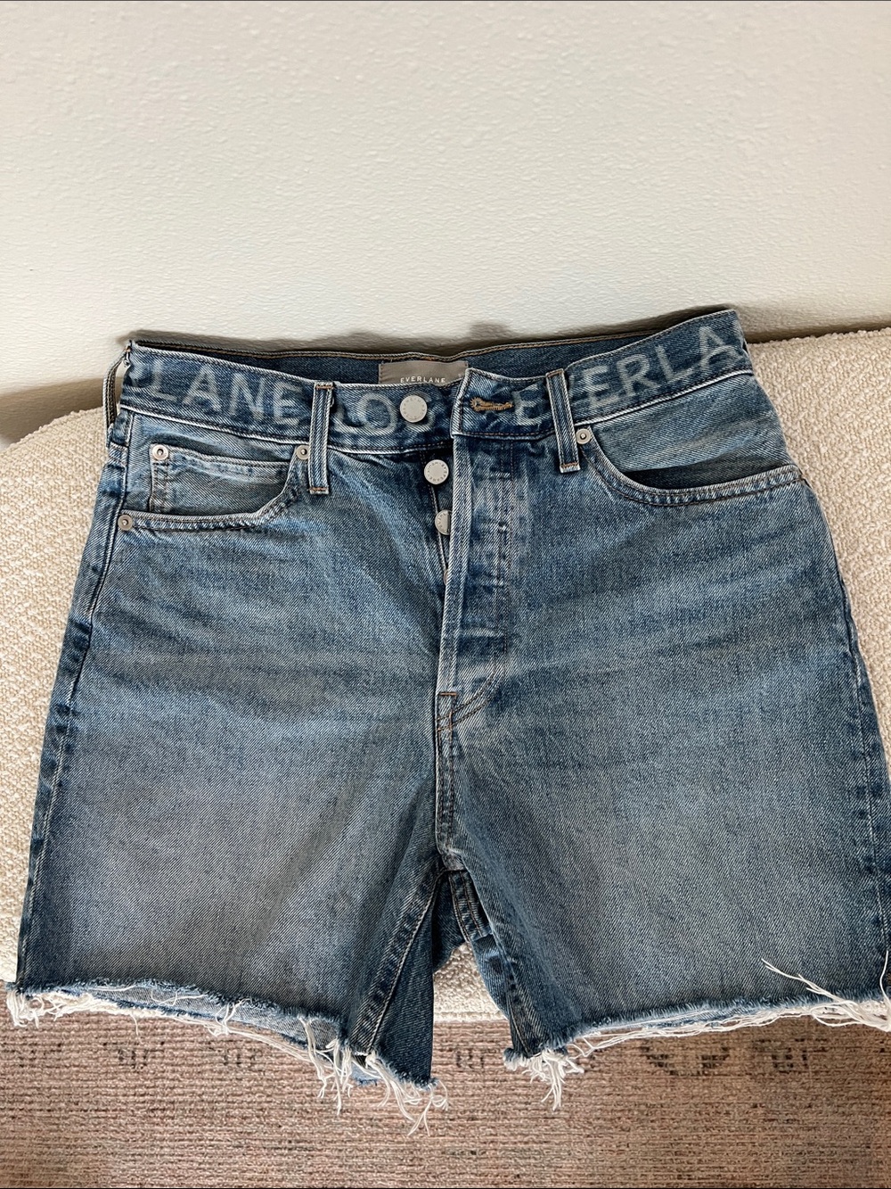 Everlane the local rigid way-high Denim Shorts